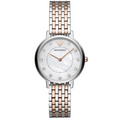 EmporioArmani - AR-2508 - twentyfour