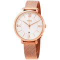 Fossil Women’s Quartz Stainless Steel Silver Dial 36mm ES4352 - twentyfour